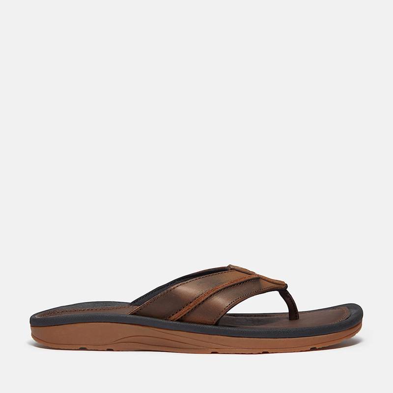 Men's Timberland® Originals Thong Sandal product image