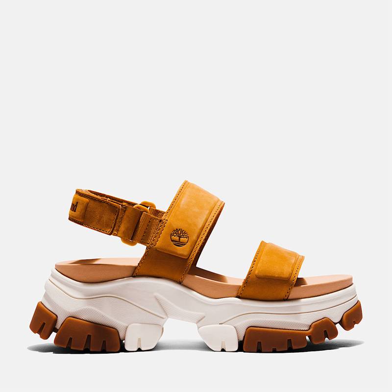Women’s Adley Way Backstrap Sandal product image
