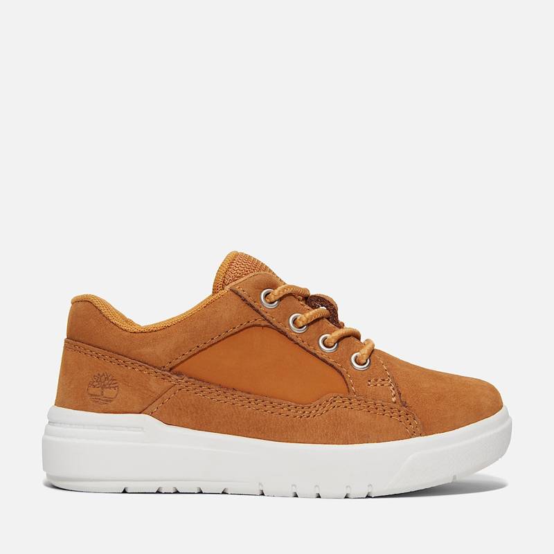 Toddler Allston Low Lace-Up Sneaker product image