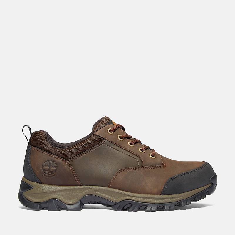 Men's Mt. Maddsen Waterproof Low Hiker Boot product image