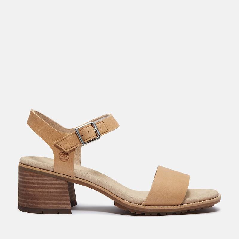 Women's Laguna Shore Backstrap Sandal product image