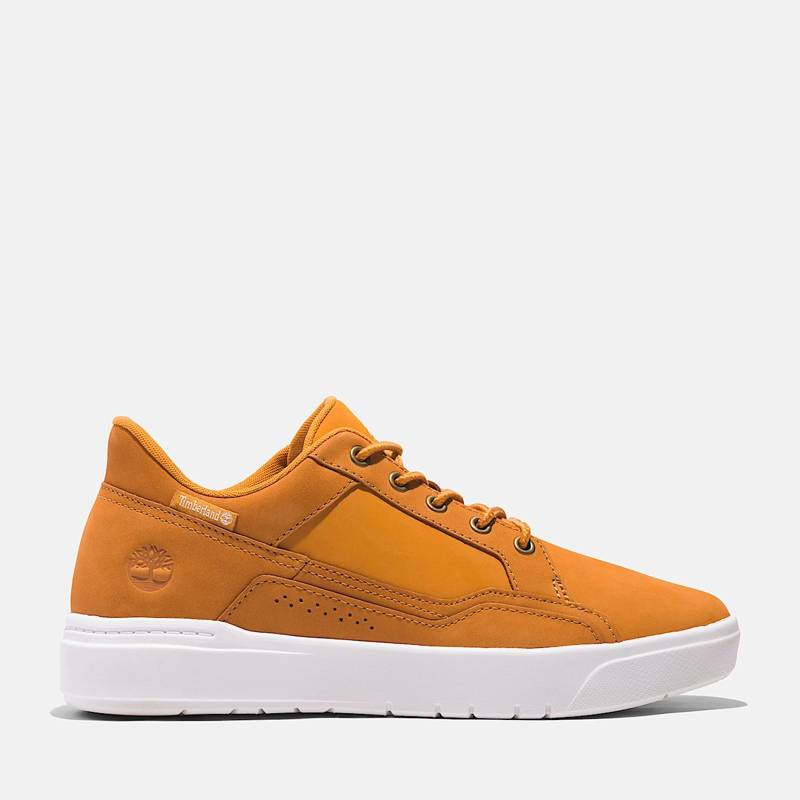 Men's Allston Low Lace-Up Sneaker product image