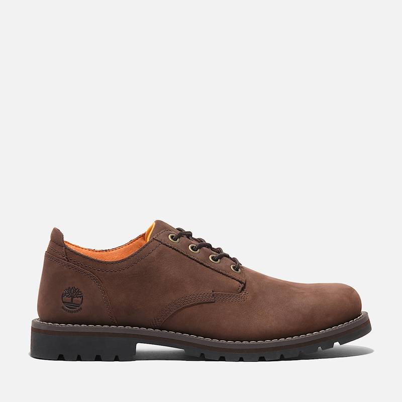 Men's Redwood Falls Lace-Up Waterproof Shoe product image