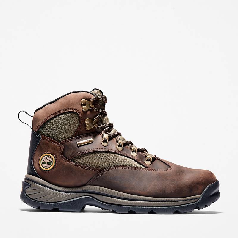 Men's Chocorua Waterproof Mid Hiker Boot product image