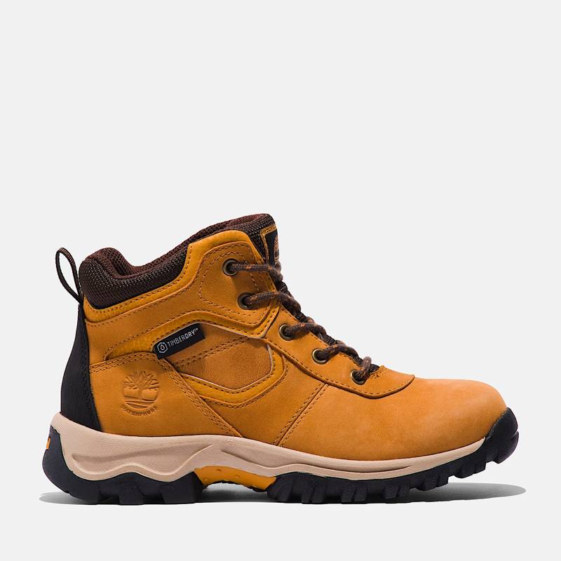 Junior Mt. Maddsen Waterproof Mid Hiking Boot product image